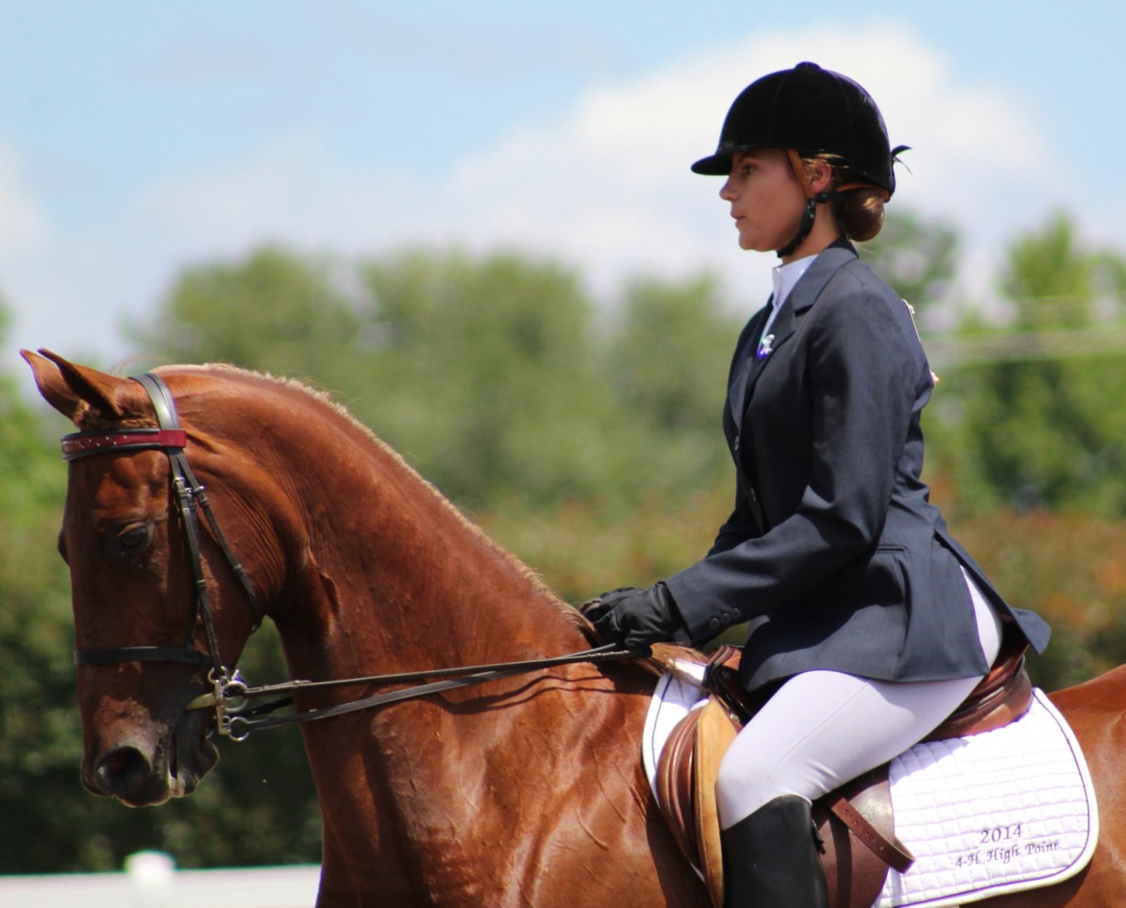 Equestrian sport